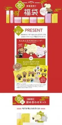 パーフェクトワンフォーカス新春初売り福袋のLPデザイン（イベント・キャンペーン・体験／レッド系／和風系）PC版