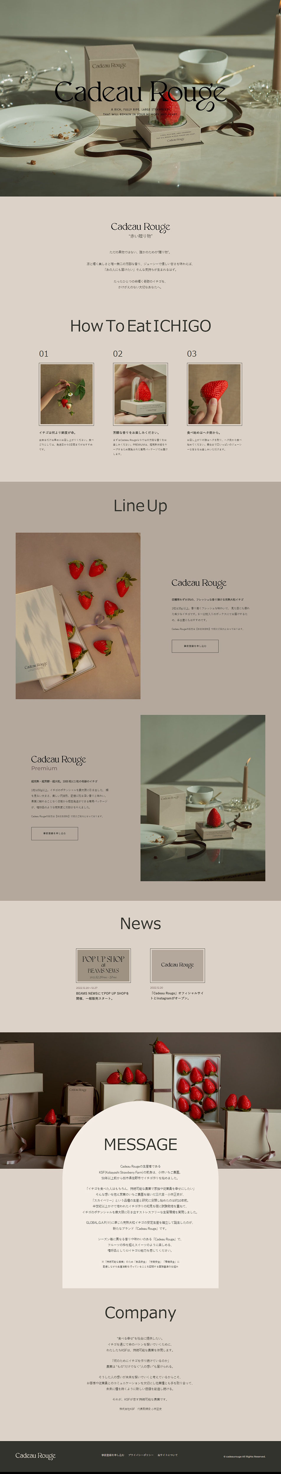 CadeauRouge LP design (fruit-vegetable / Shades of grey / Simple)