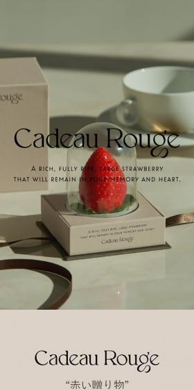 CadeauRouge LP design (fruit-vegetable / Shades of grey / Simple) Mobile version