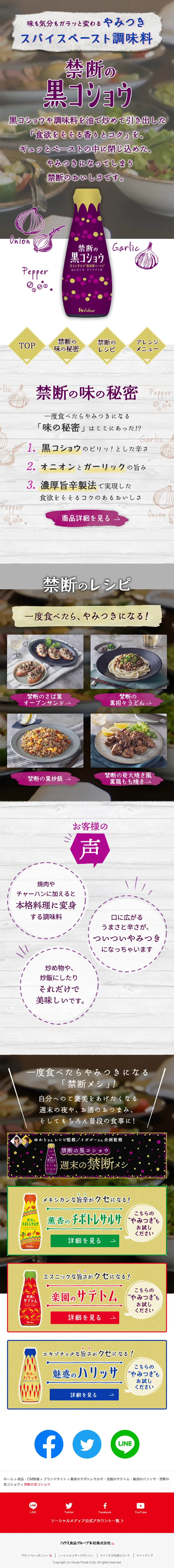 禁断の黒コショウのLPデザイン（調味料・甘味料・ダシ・スープ／グレー系／ナチュラル系）スマホ版