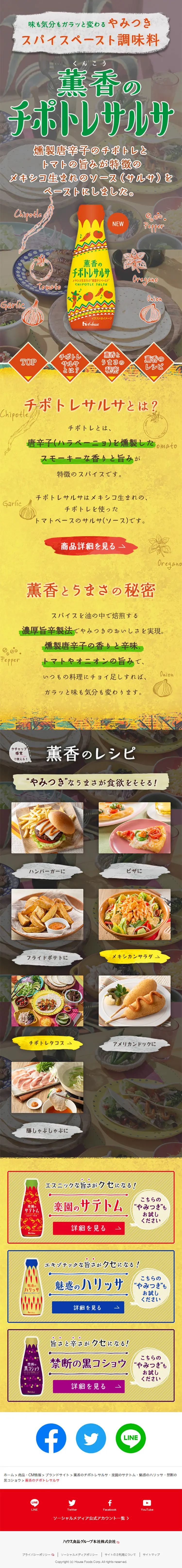 Kunko no Chipotle Salsa LP design (Seasonings, Sweeteners, Broth, Soup / Orange tones / Arts) Mobile version