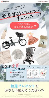 Present Campaign