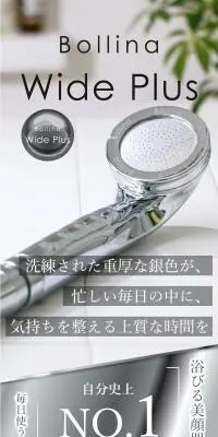 ボリーナワイドプラス シルバーのLPデザイン（キッチン・バス用品／グレー系／キレイ系）PC版