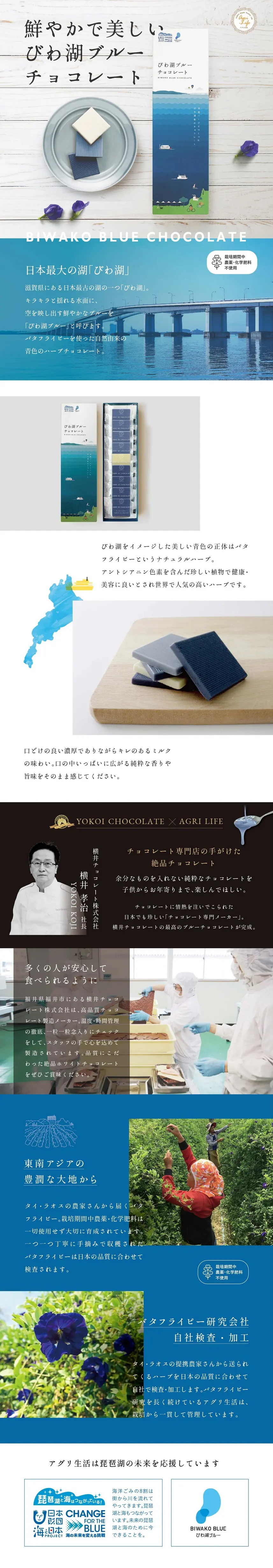 Biwako Blue Chocolate LP design (Western confectionery / Shades of blue / Refined style) PC version