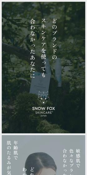 SNOWFOXSKINCARE LP design (Skincare, Bodycare, Haircare / Shades of grey / Refined style) Mobile version