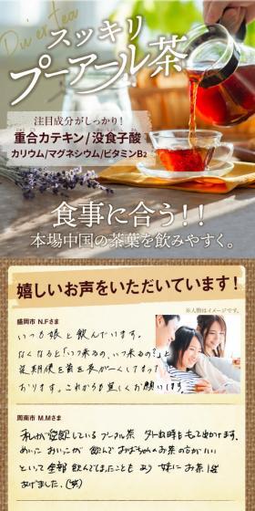 スッキリ プーアール茶のLPデザイン（お茶・紅茶・珈琲／ブラウン系／健康・癒し系）スマホ版