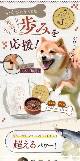 amure LP design (Pet food and pet supplies / Brown tones / Cute style) Mobile version