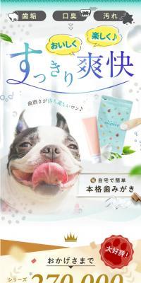 Toothbrushing Perfect Set
