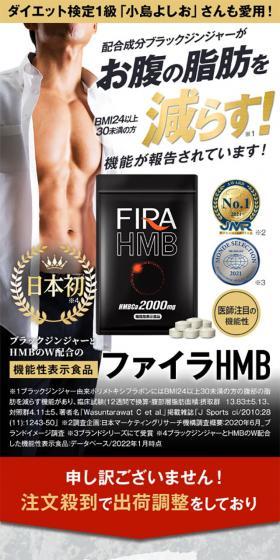 FIRA HMB LP design (Diet supplements and diet drinks / Gold tones / Cool style) Mobile version