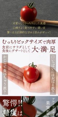 Tomatoes from the Foothills