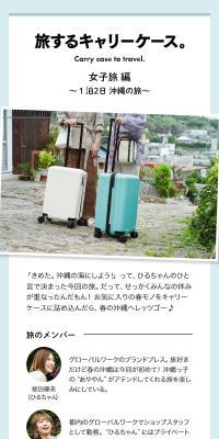Carry case