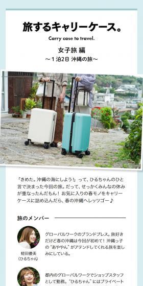 Carry case LP design (bag / Shades of blue / Stylish type) Mobile version
