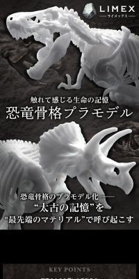 Dinosaur skeleton plastic model