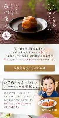 紀州の梅 みつまろのLPデザイン（キムチ・漬物・梅干し／ベージュ系／和風系）PC版