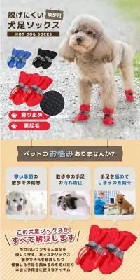 脱げにくい犬用ソックスのLPデザイン（ペットフード ・ ペット用品／ベージュ系／スタイリッシュ系）PC版