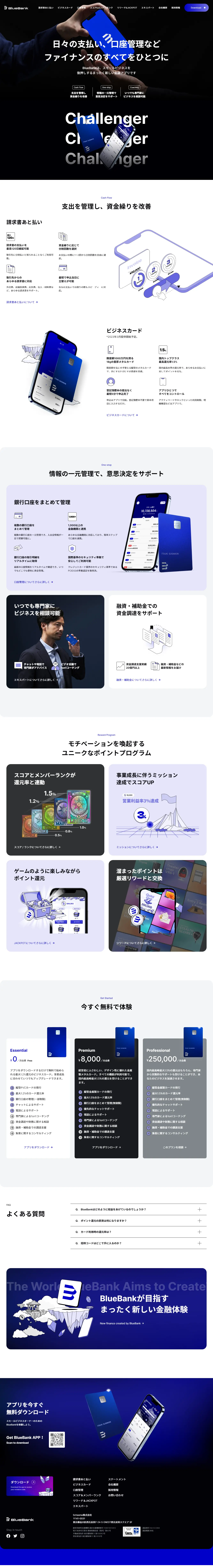 BlueBank LP design (Insurance, Finance, Credit / Shades of blue / Cool style) PC version