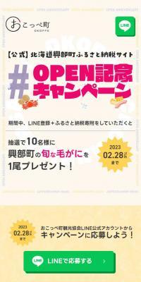 OPEN記念キャンペーンのLPデザイン（イベント・キャンペーン・体験／イエロー系／にぎやか系）スマホ版