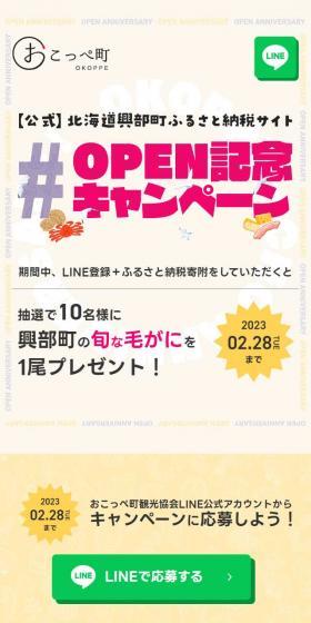 OPEN記念キャンペーンのLPデザイン（イベント・キャンペーン・体験／イエロー系／にぎやか系）スマホ版