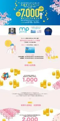 ミナピタクレジットカード 入会キャンペーンのLPデザイン（保険・金融・クレジット／ピンク系／シンプル系）PC版