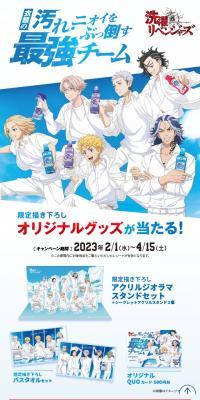 Laundry Revengers Campaign