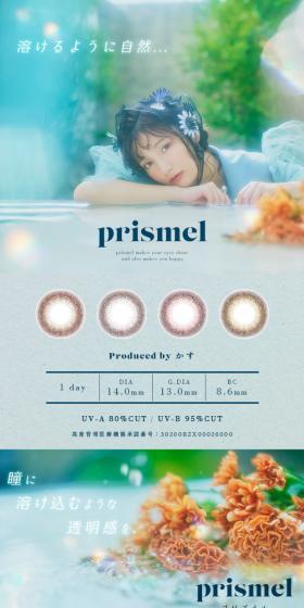 Prismel LP design (Cosmetics, makeup, and contact lenses / Multi-color type / Natural style) Mobile version