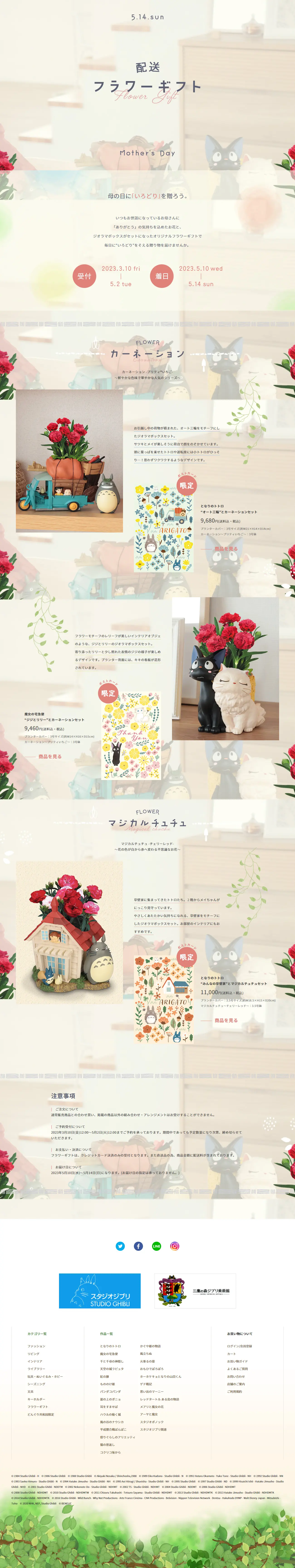 Mother's Day Delivery Flower Gift 2023 LP design (Flowers, Houseplants, Artificial Flowers / Pink shades / Cute style) PC version