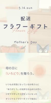 Mother's Day Delivery Flower Gift 2023