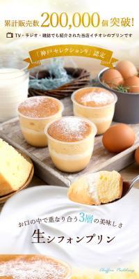 Fresh Chiffon Pudding