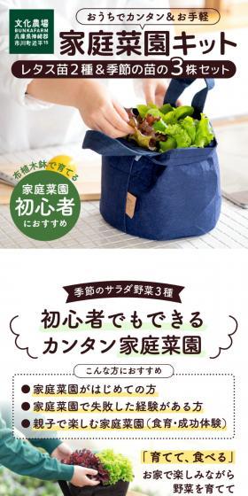 First-time Home Garden Kit "Salad Garden" LP design (Flowers, Houseplants, Artificial Flowers / White-based / Natural style) Mobile version
