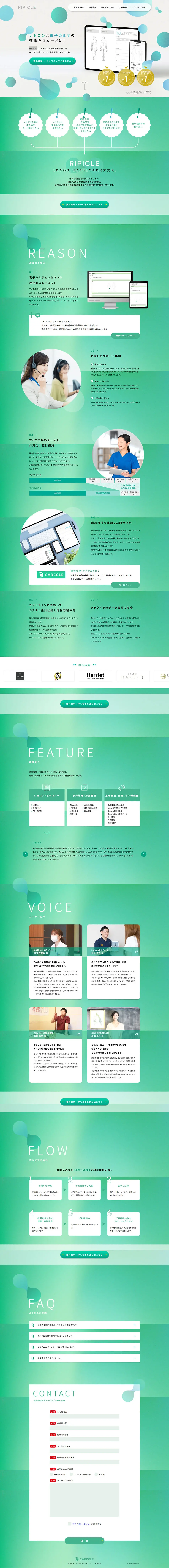 RIPICLE LP design (Hospital, Chiropractic, Massage / Green tones / Cute style) PC version