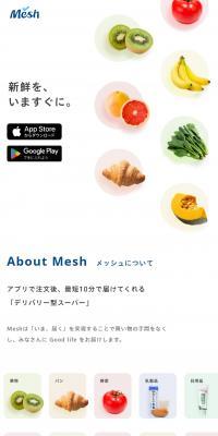 Mesh