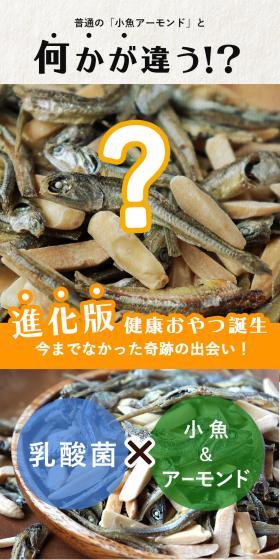 イイこのいりこのLPデザイン（魚介類・海産物／イエロー系／信頼・安心系）スマホ版