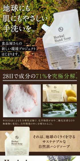 Herbal Rich Hand Soap Foam Type LP design (Skincare, Bodycare, Haircare / Brown tones / Clean-cut) Mobile version