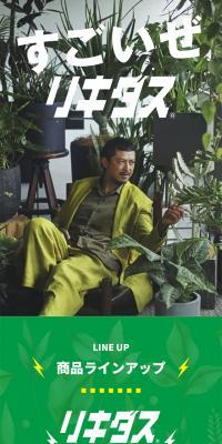 Likidas LP design (Flowers, Houseplants, Artificial Flowers / Green tones / Strong) Mobile version