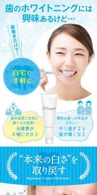 HakuNano Dental Paste