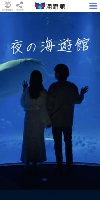 夜の海遊館