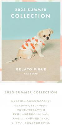 2023 SUMMER COLLECTION