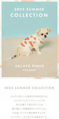 2023 SUMMER COLLECTIONのLPデザイン（ペットフード ・ ペット用品／ブルー系／かわいい系）スマホ版
