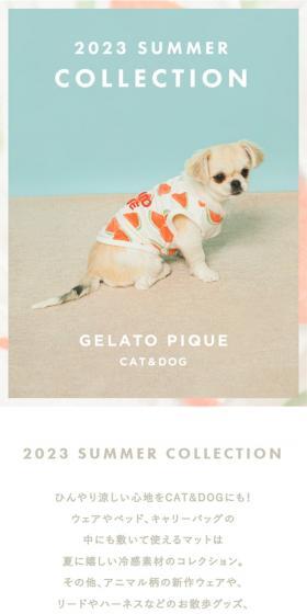 2023 SUMMER COLLECTIONのLPデザイン(ペットフード ・ ペット用品/ブルー系/かわいい系)スマホ版