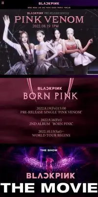 blackpinkのLPデザイン（ミュージカル・コンサート／ピンク系／かっこいい系）PC版