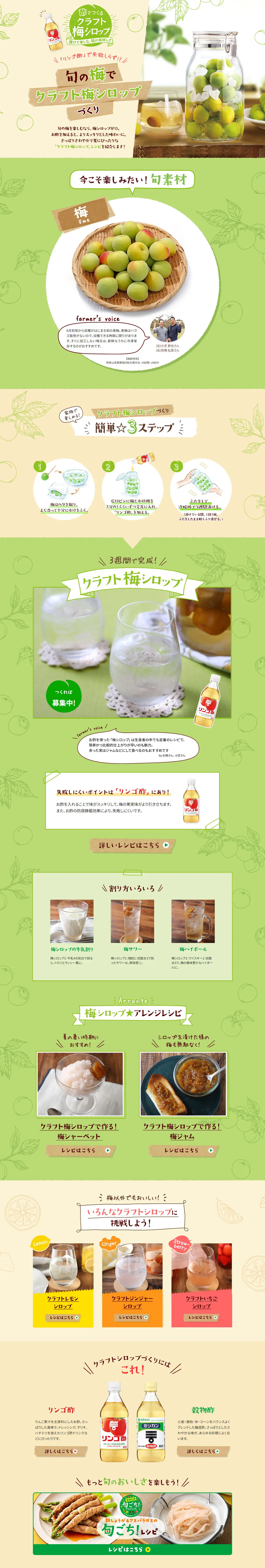 Craft Ume Syrup Recipe Made with Vinegar LP design (Prepared foods, dishes, and cuisine / Green tones / Natural style) PC version