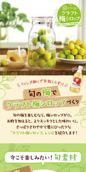 Craft Ume Syrup Recipe Made with Vinegar LP design (Prepared foods, dishes, and cuisine / Green tones / Natural style) Mobile version
