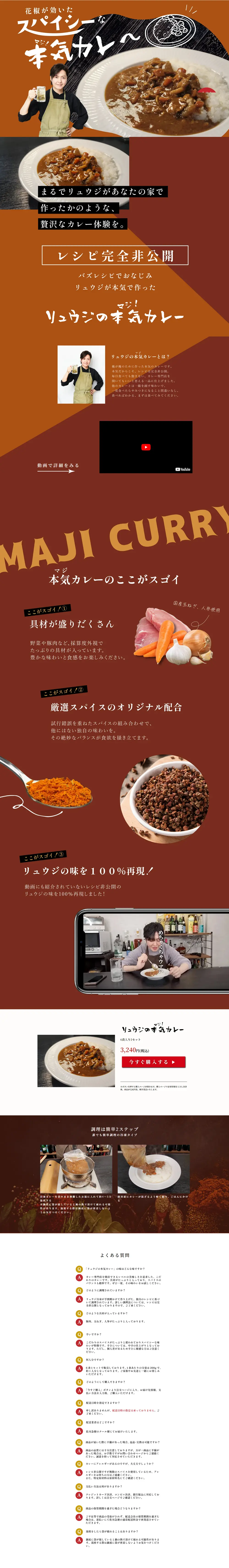 リュウジの本気カレーのLPデザイン（レトルト・インスタント／ブラウン系／力強い系）PC版