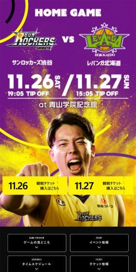Home Game Event Information LP design (General Sports and Spectating / Shades of grey / Strong) Mobile version