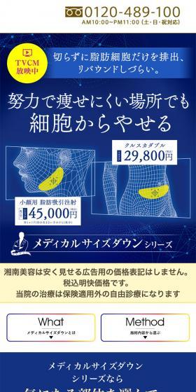 Medical Size Down LP design (Dieting and weight loss / Shades of blue / Trust and Safety) Mobile version