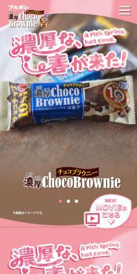 Rich Chocolate Brownie