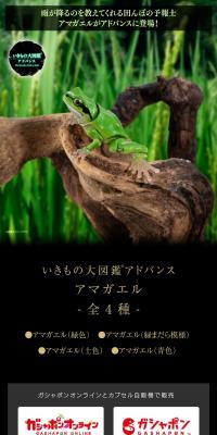 Ikimono Daizukan Advance Amagaeru