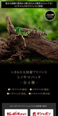 Ikimono Daizukan Advanced Tonosamabatta