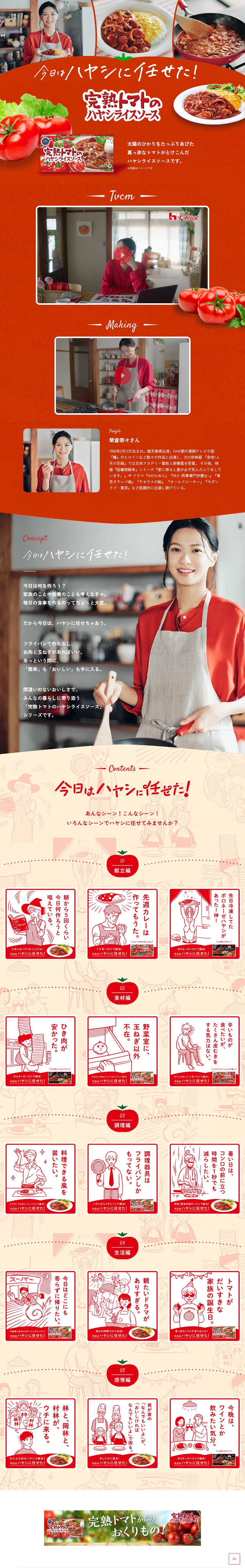 Ripe Tomato Hayashi Rice Sauce LP design (Prepared foods, dishes, and cuisine / Orange tones / Natural style)