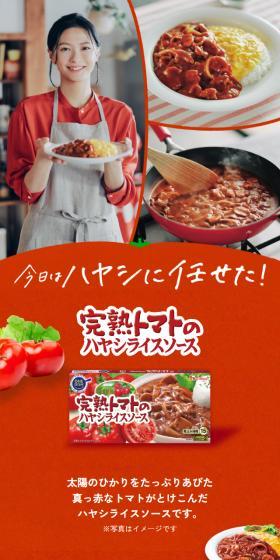 Ripe Tomato Hayashi Rice Sauce LP design (Prepared foods, dishes, and cuisine / Orange tones / Natural style) Mobile version